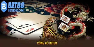 Mẹo chơi rồng hổ