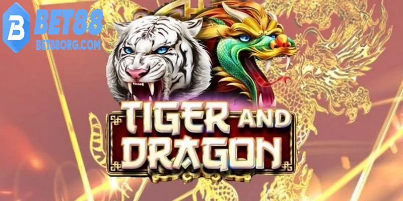 Quản lý vốn khi tham gia choi rồng hổ tại bet88